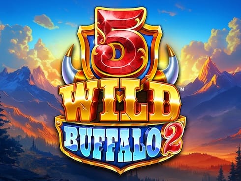 5 وائلڈ بفیلو 2 game cover