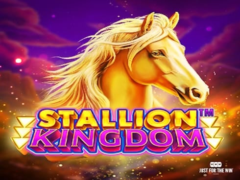 اسٹیلین کنگڈم game cover